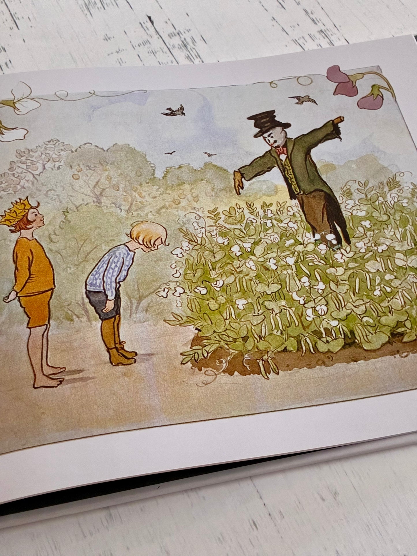 Christopher's Garden by Elsa Beskow