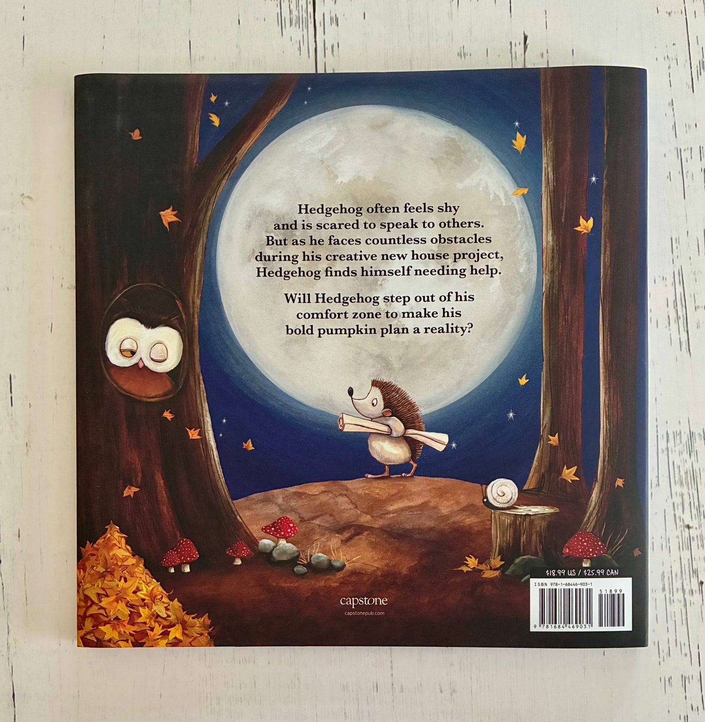 A Bold Pumpkin Plan by Katy Hudson