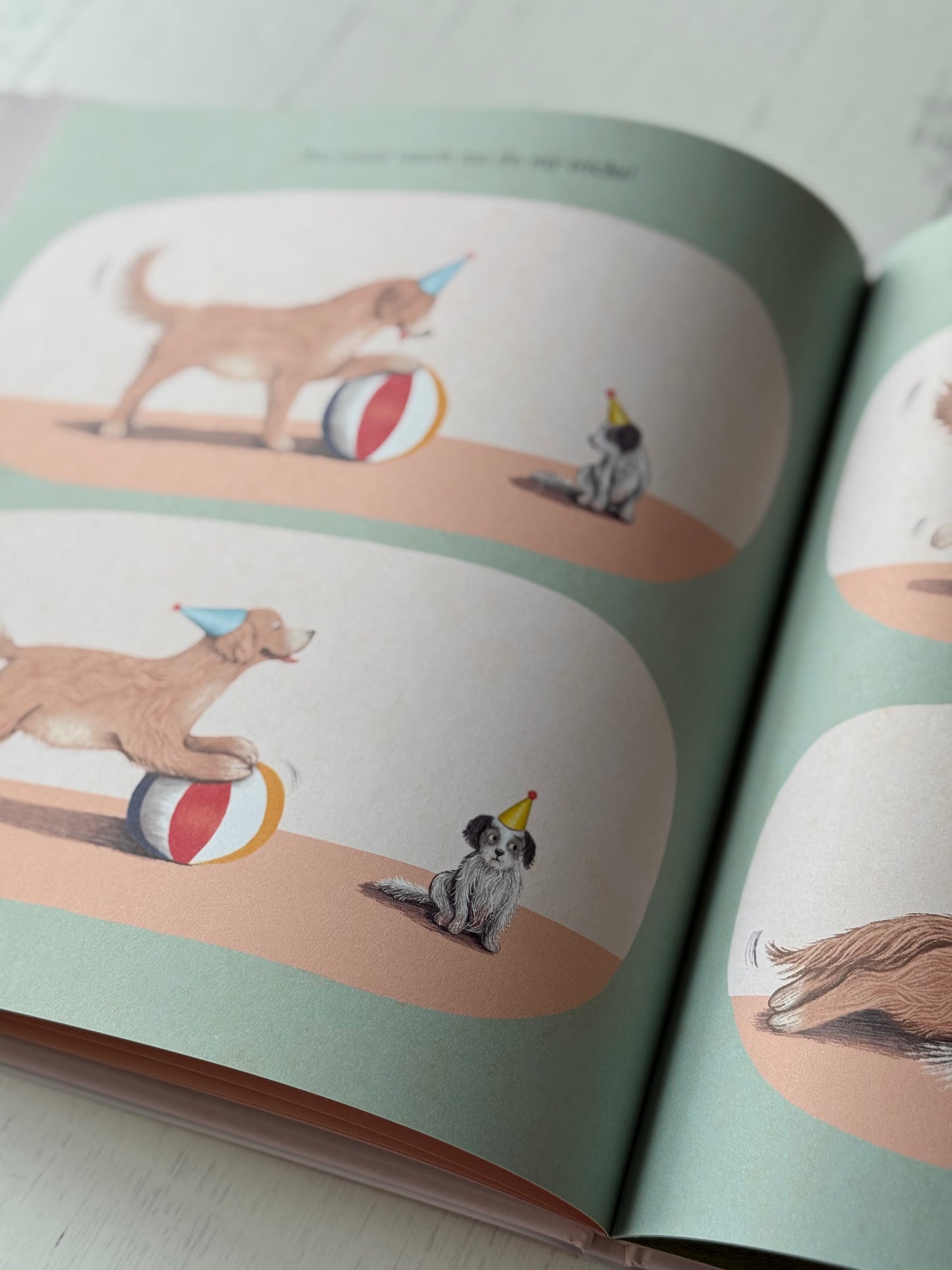 If We Were Dogs by Sophie Blackall