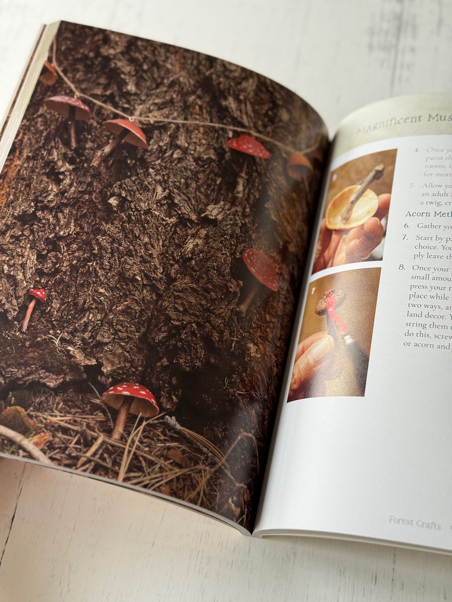 Charming Woodland Crafts: 50 Fun and Easy Projects Made from Natural and Recycled Materials by Sibia Torres Padilla