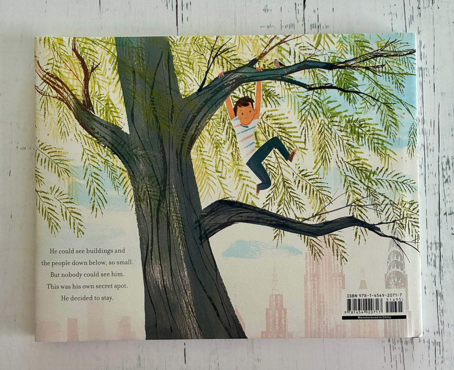 Up in the Leaves: The True Story of the Central Park Treehouses by Shira Boss