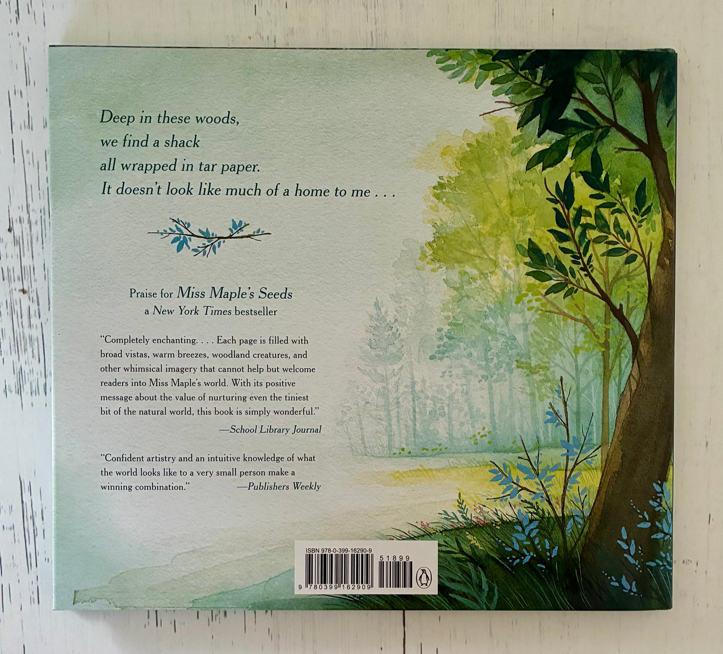 Home in the Woods by Eliza Wheeler