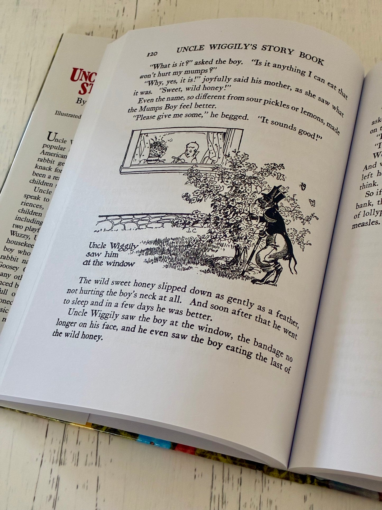 Uncle Wiggily's Story Book by Howard R. Garis