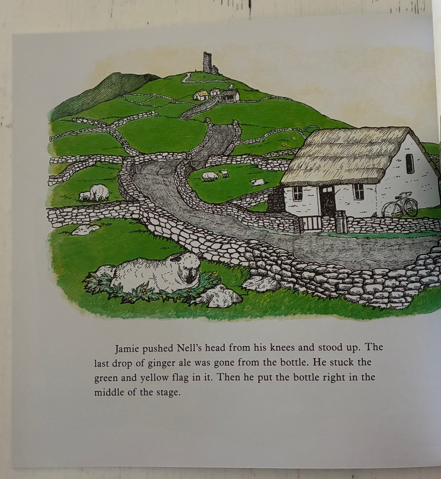 St. Patrick's Day in the Morning by Eve Bunting