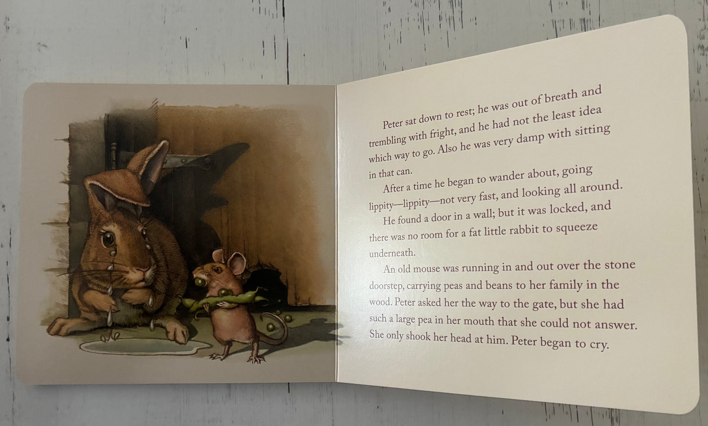 Peter Rabbit by Beatrix Potter