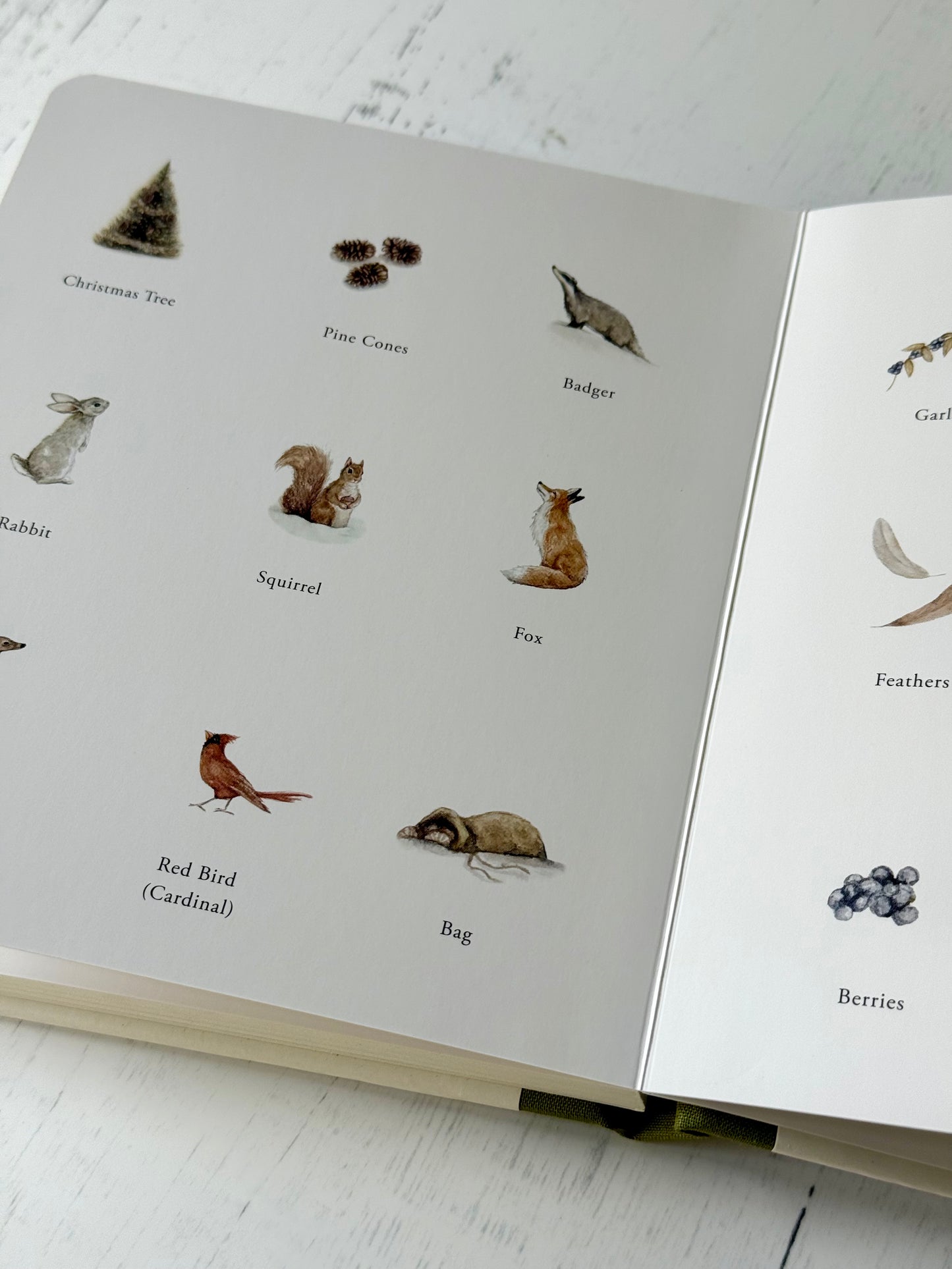 Our Little Adventure at Christmas: Featuring Foundational Language Concepts and Lessons on the Joy of Giving by Tabitha Paige