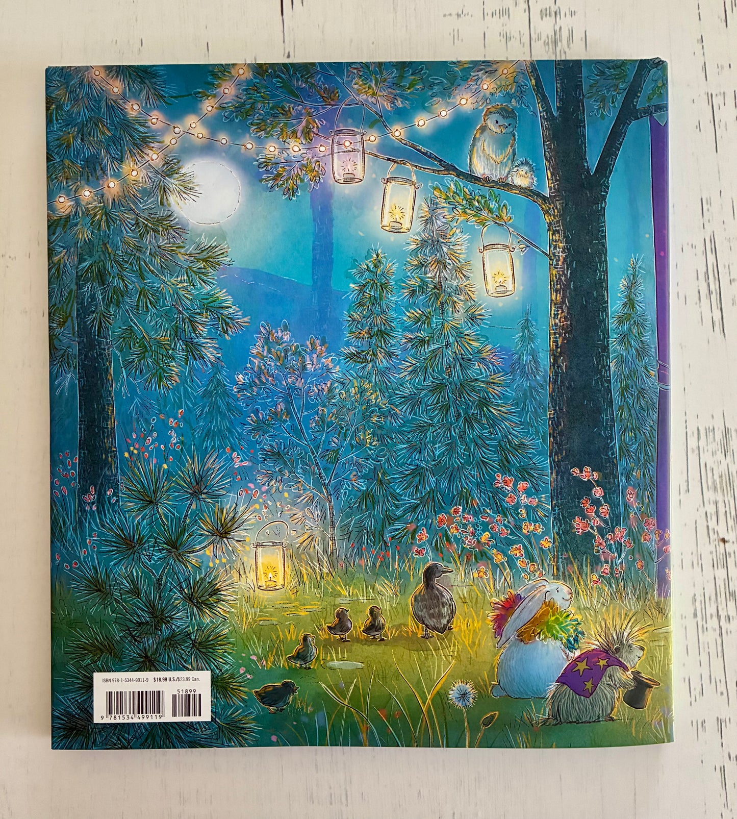 Find Your Brave: A Coco and Bear Story (The Coco and Bear) by Apryl Stott