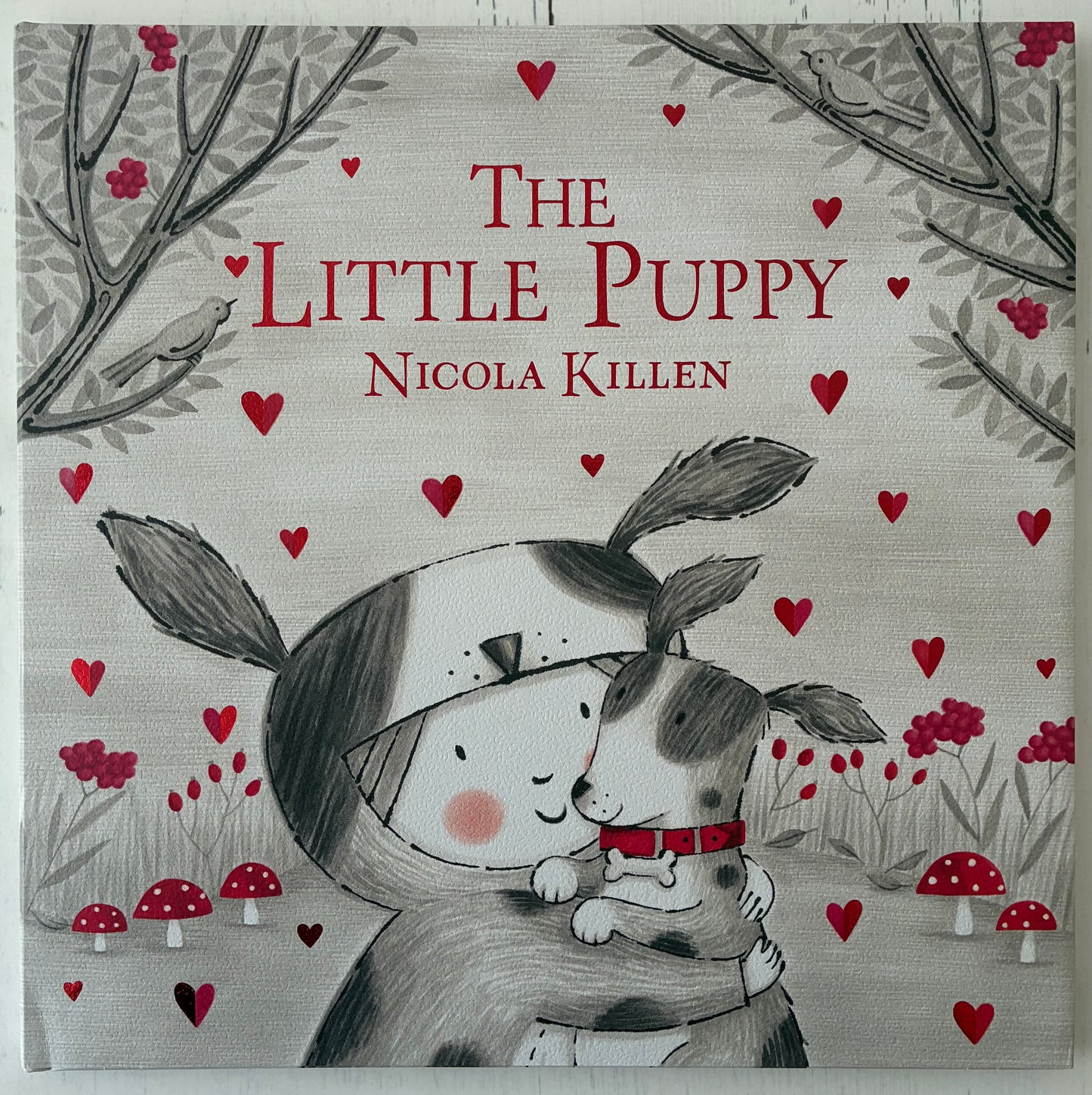The Little Puppy by Nicola Killen