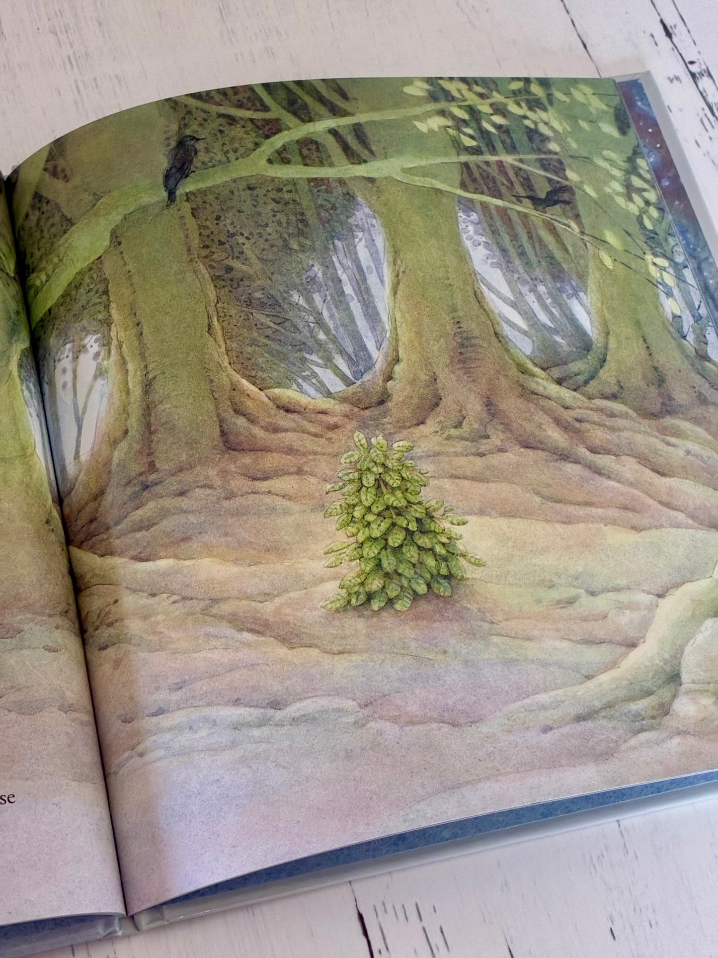 The Little Christmas Tree by Loek Koopmans