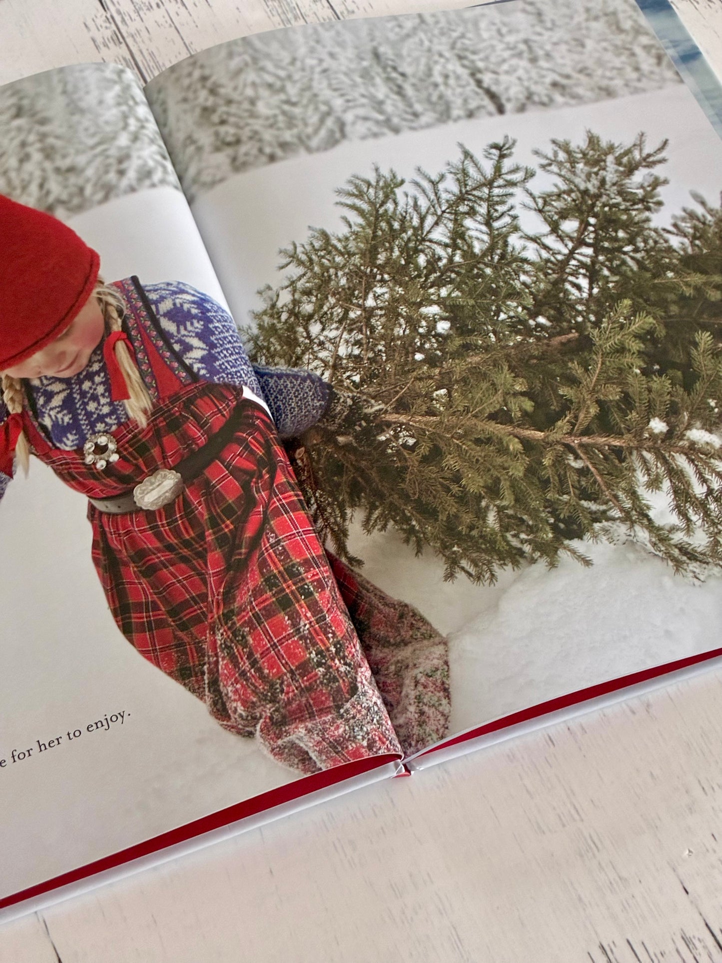 The Christmas Wish: A Christmas Book for Kids by Lori Evert