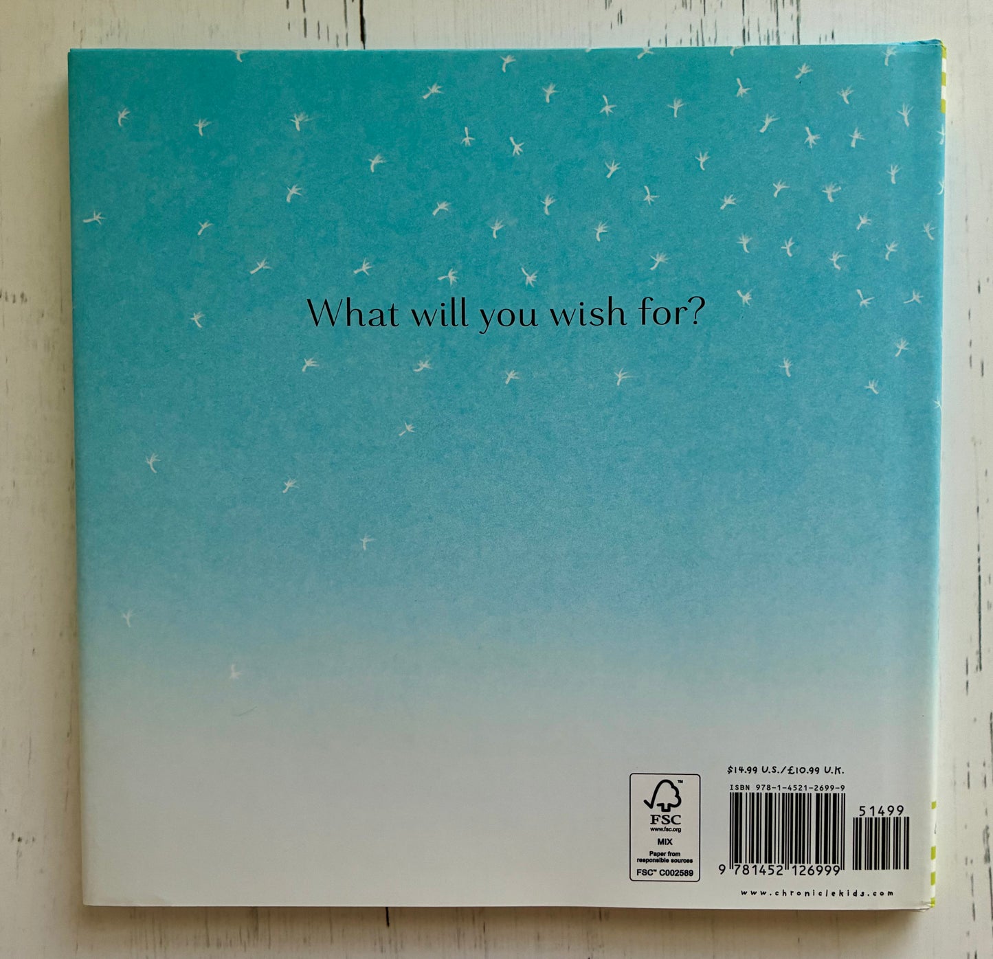 I Wish You More by Amy Krouse Rosenthal