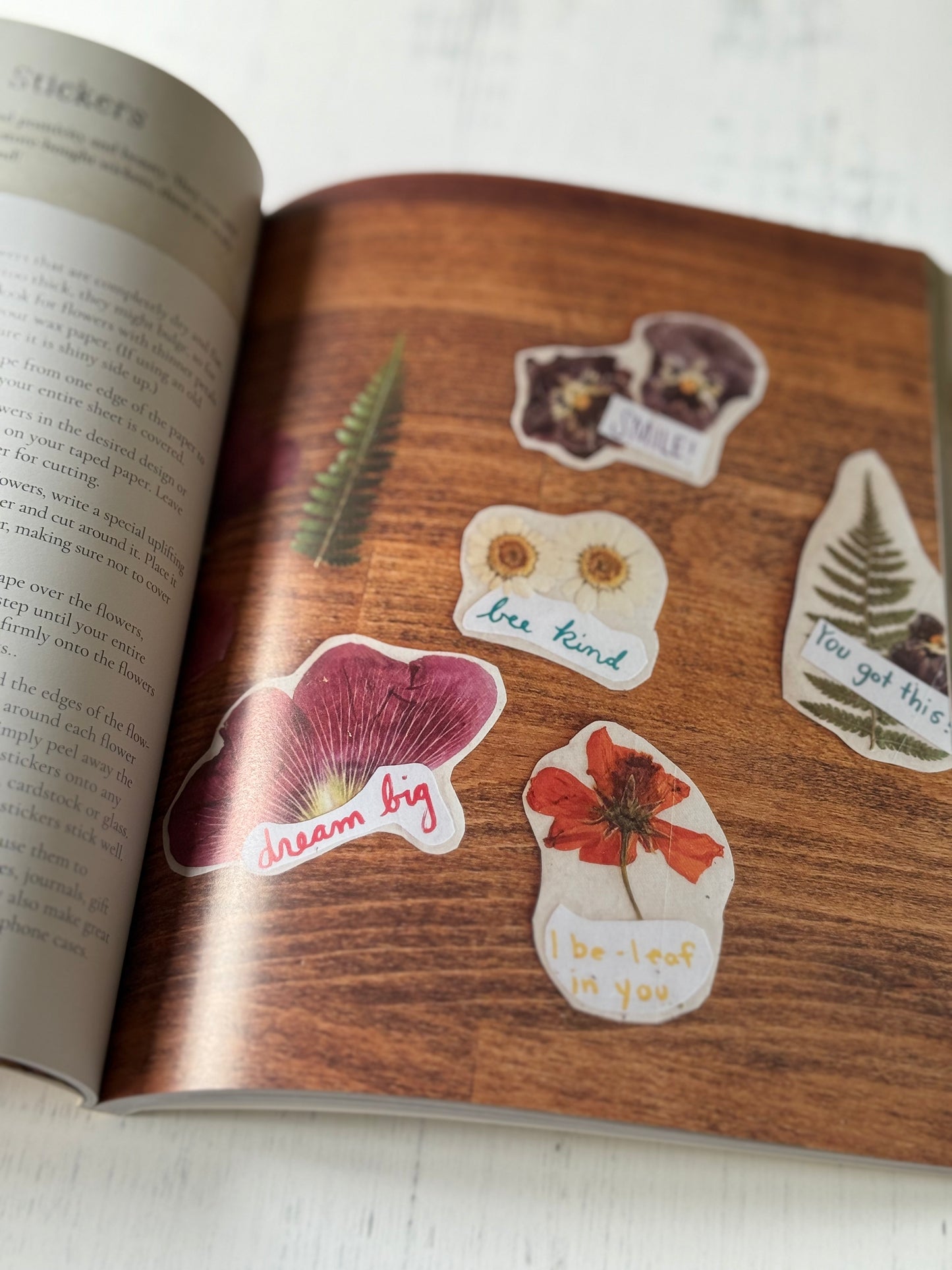 Charming Woodland Crafts: 50 Fun and Easy Projects Made from Natural and Recycled Materials by Sibia Torres Padilla