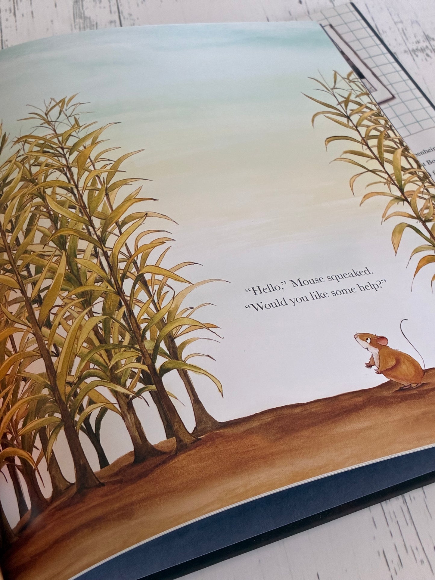 A Bold Pumpkin Plan by Katy Hudson