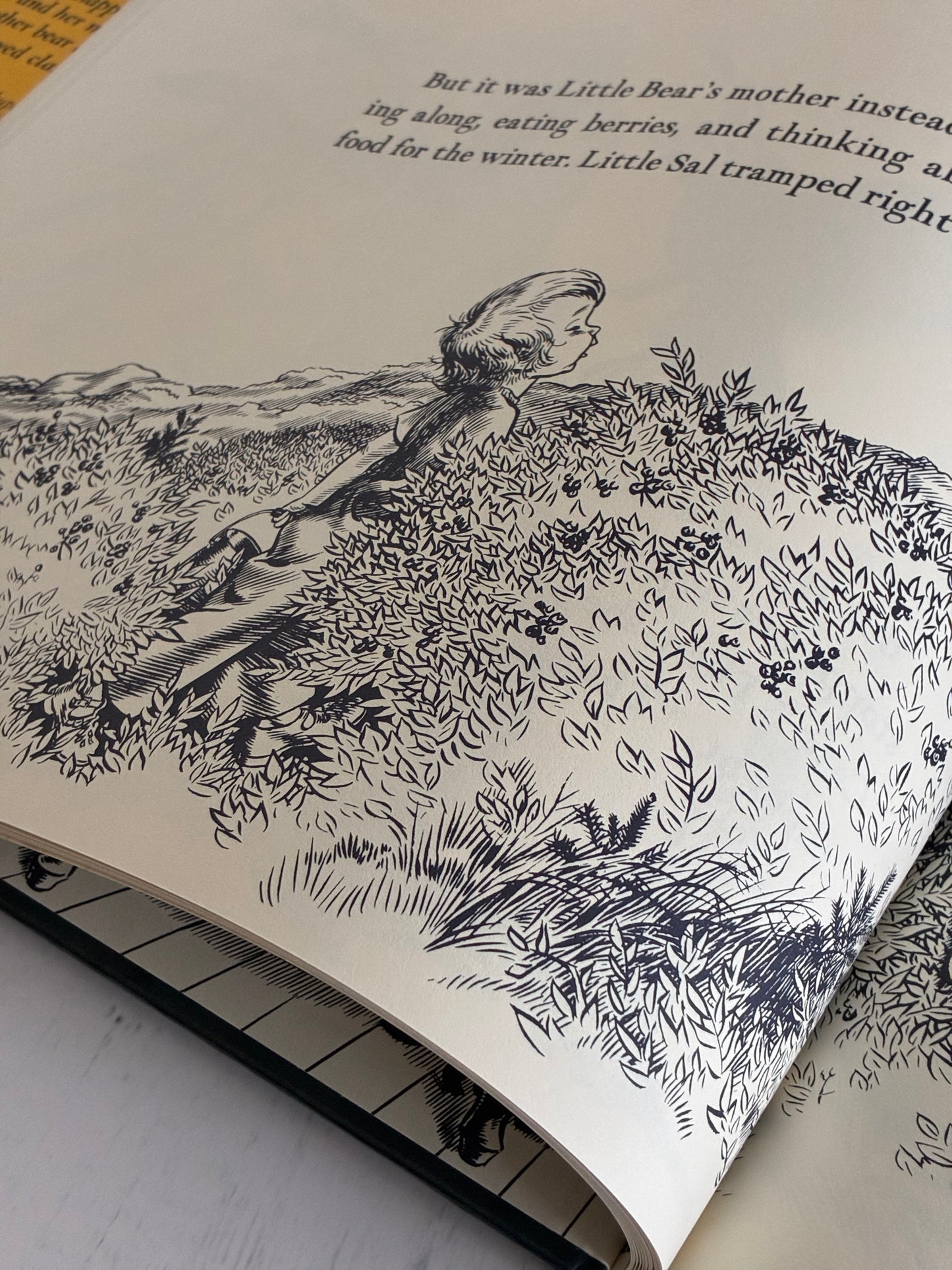 Blueberries For Sal by Robert McCloskey