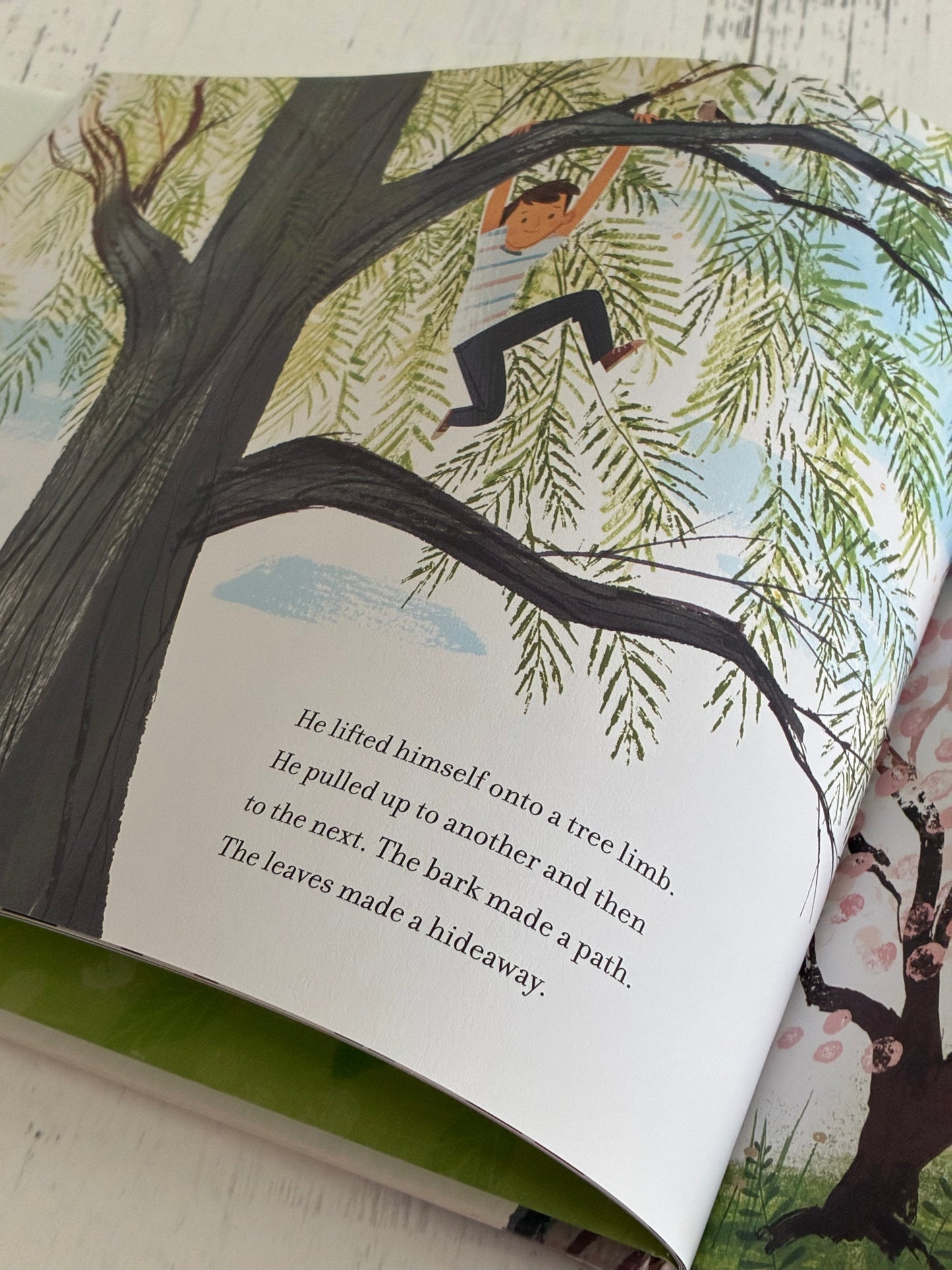 Up in the Leaves: The True Story of the Central Park Treehouses by Shira Boss