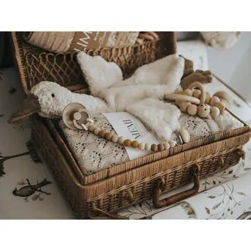 Senger Naturwelt Organic Cotton Cuddly Goose, Small