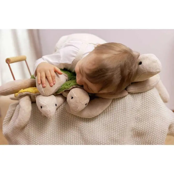 Senger Naturwelt Organic Cotton Cuddly Turtle (Green), Small
