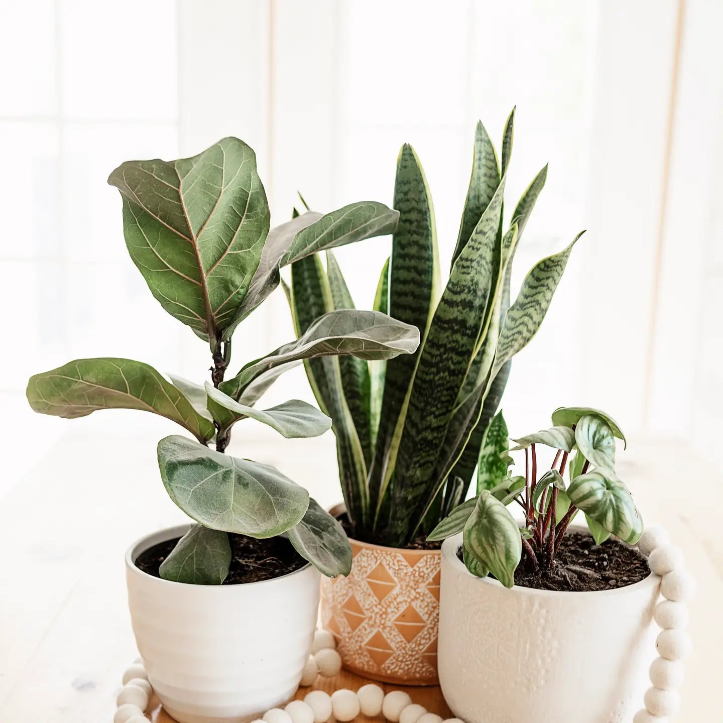 White Garland 5ft - no spacing