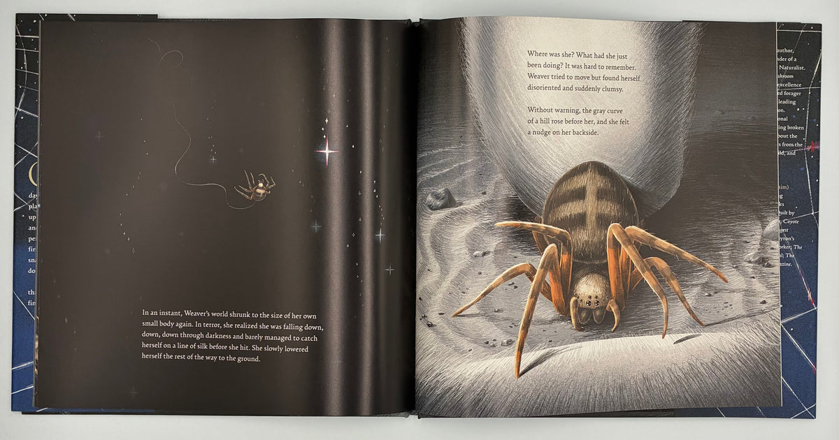 Weaver and the Web by Chris Baker