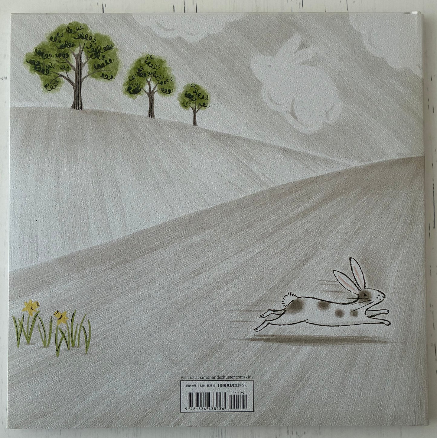 The Little Rabbit by Nicola Killen