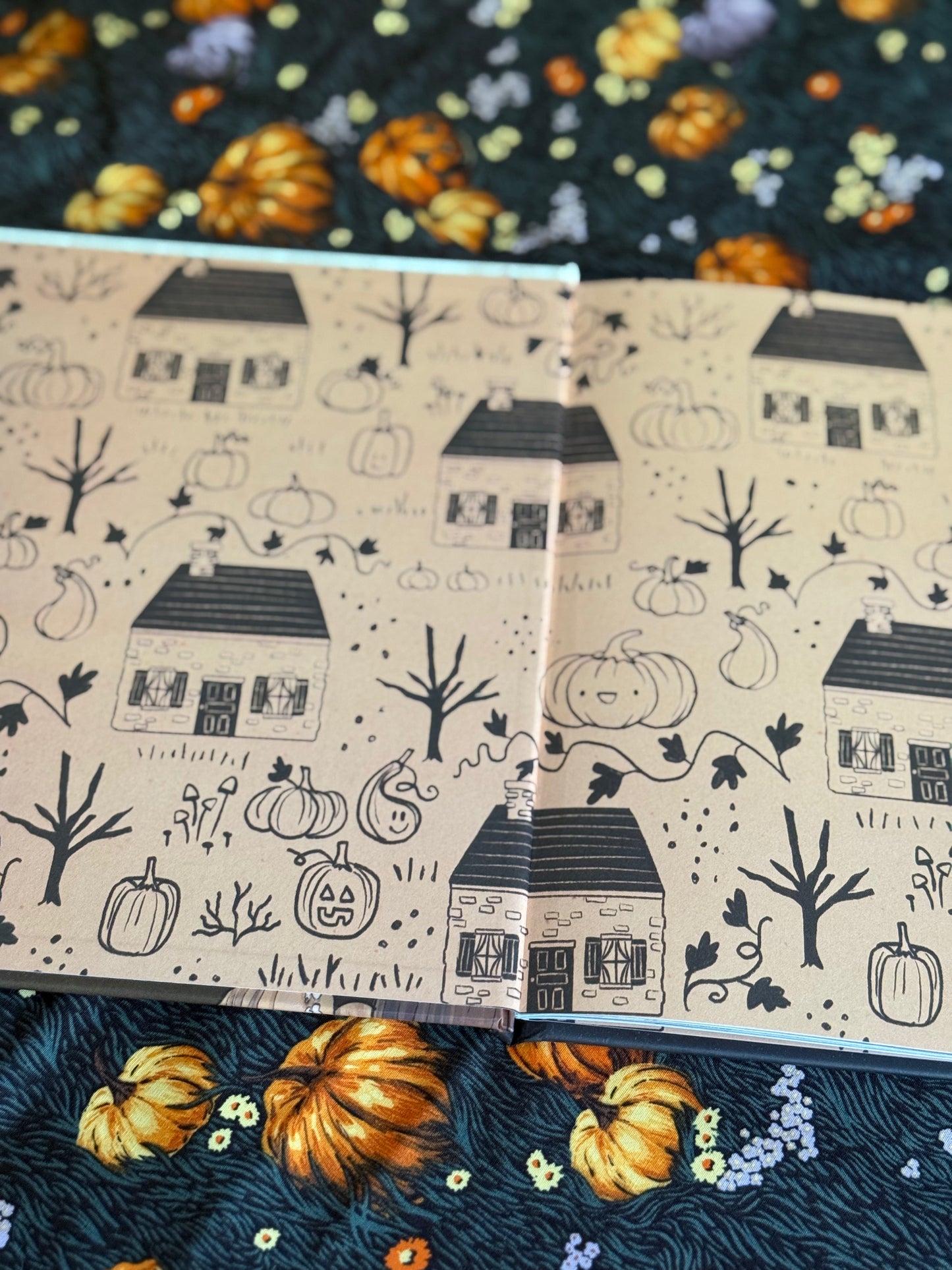 Millie Fleur's Pumpkin Problem (Millie Fleur) by Christy Mandin
