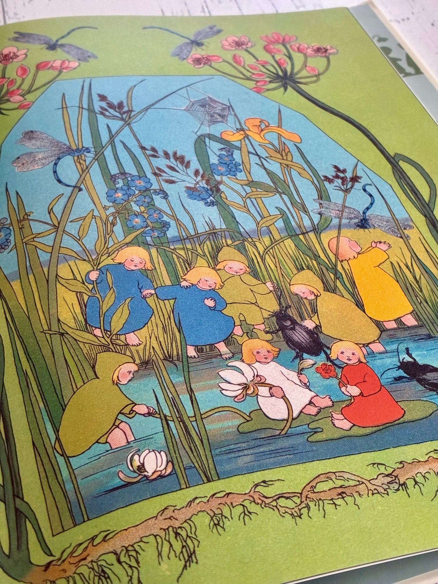 The Story of the Root Children by Sibylle von Olfers