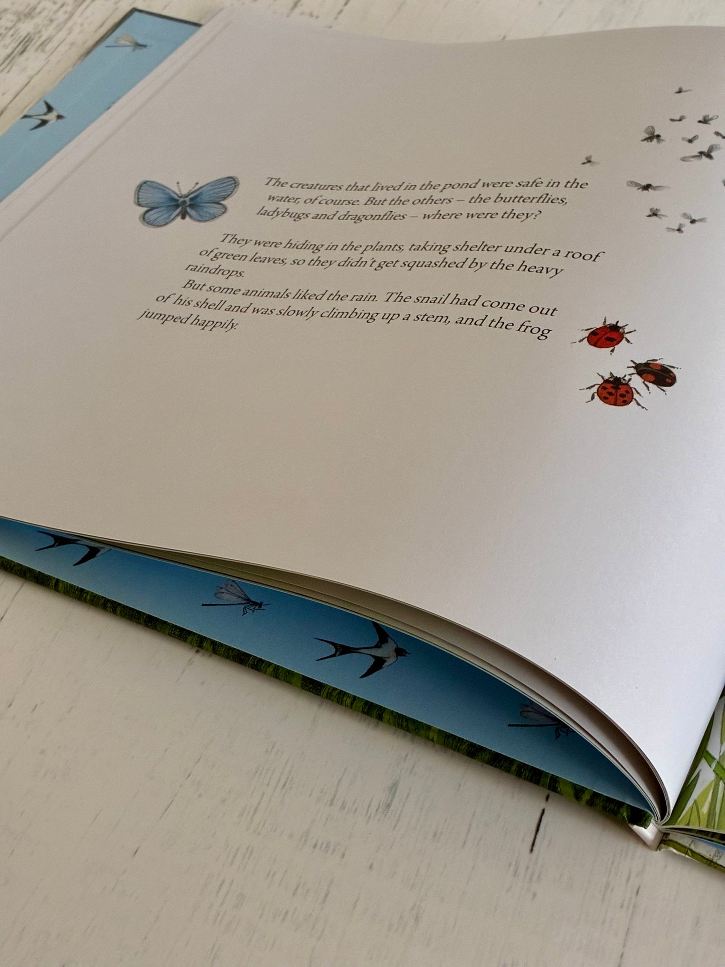 Where Do They Go When It Rains by Gerda Muller