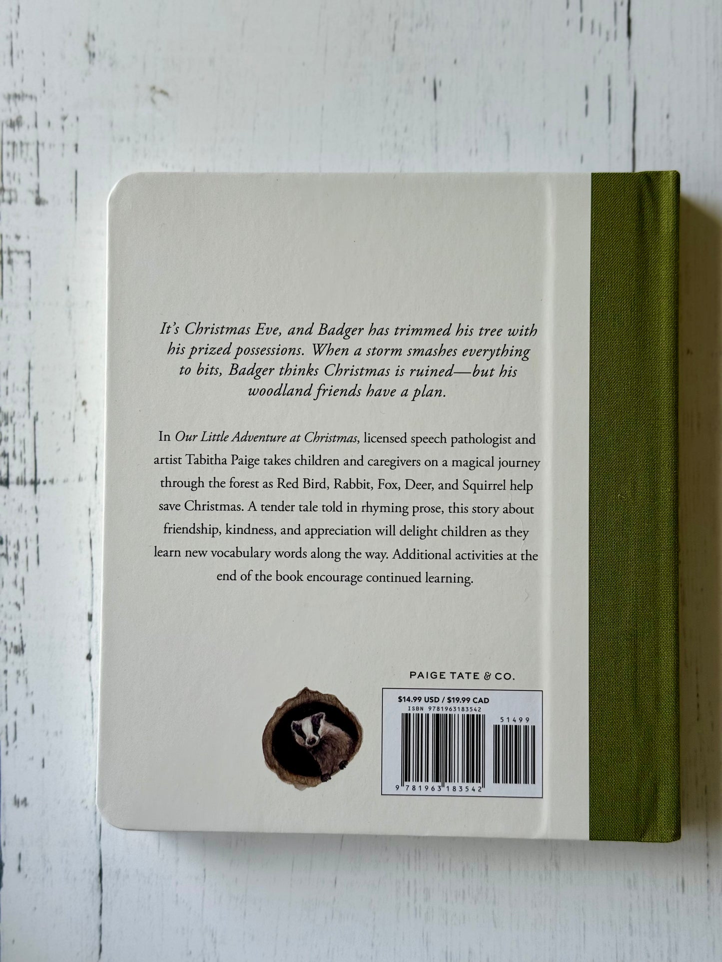 Our Little Adventure at Christmas: Featuring Foundational Language Concepts and Lessons on the Joy of Giving by Tabitha Paige