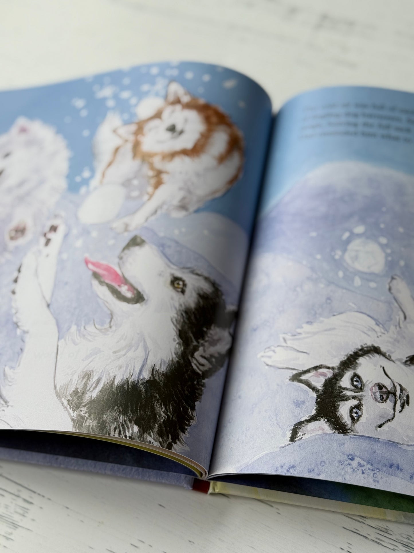 Santa and the Sled Dogs by Sarah van Rijsewijk