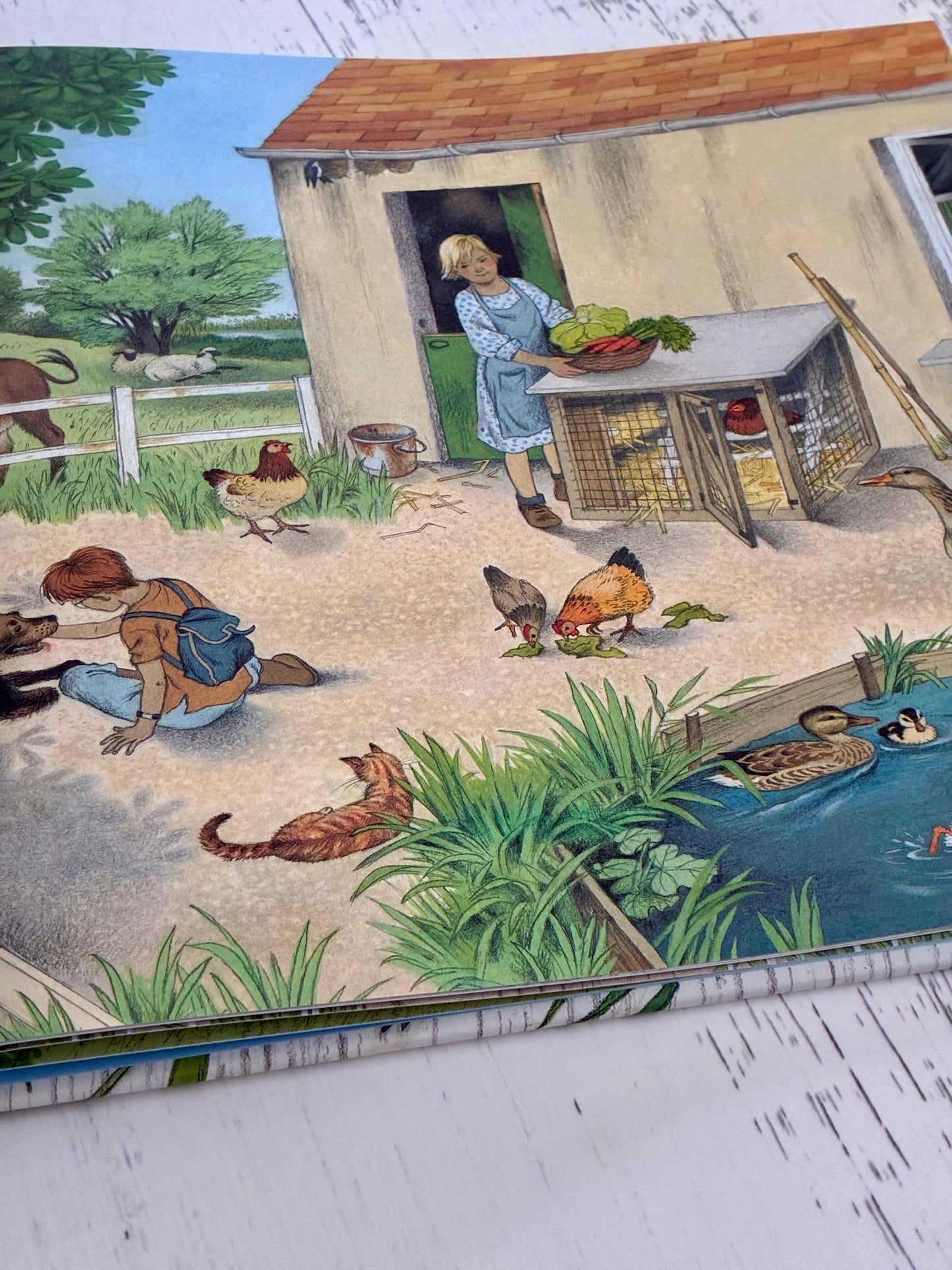 Where Do They Go When It Rains by Gerda Muller
