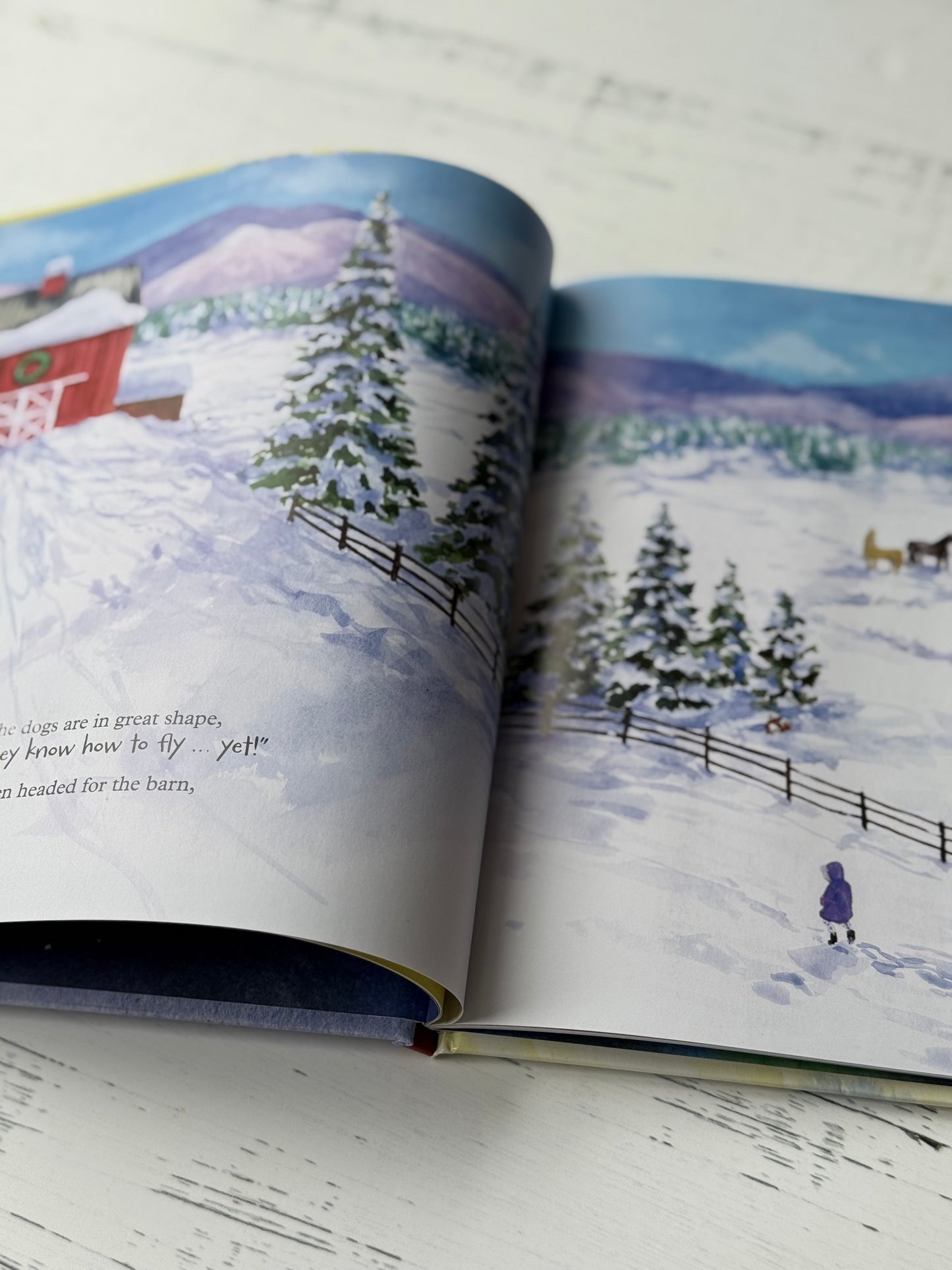 Santa and the Sled Dogs by Sarah van Rijsewijk