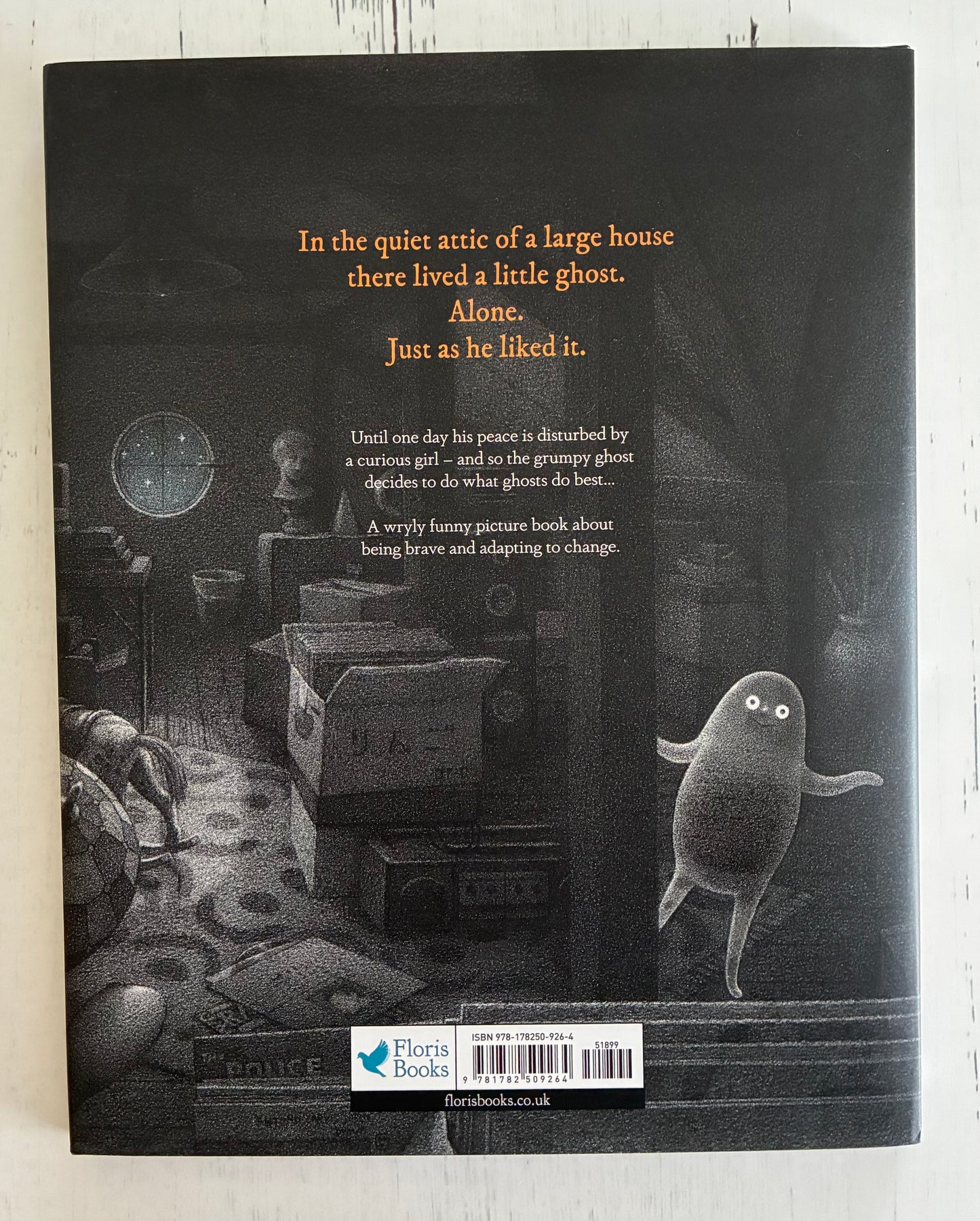 The Grumpy Ghost Upstairs by Mamiko Shiotani
