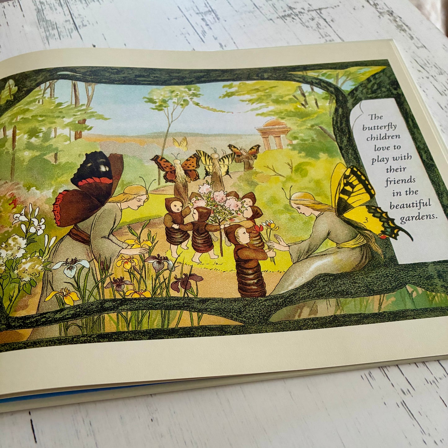 The Story of the Butterfly Children by Sibylle von Olfers