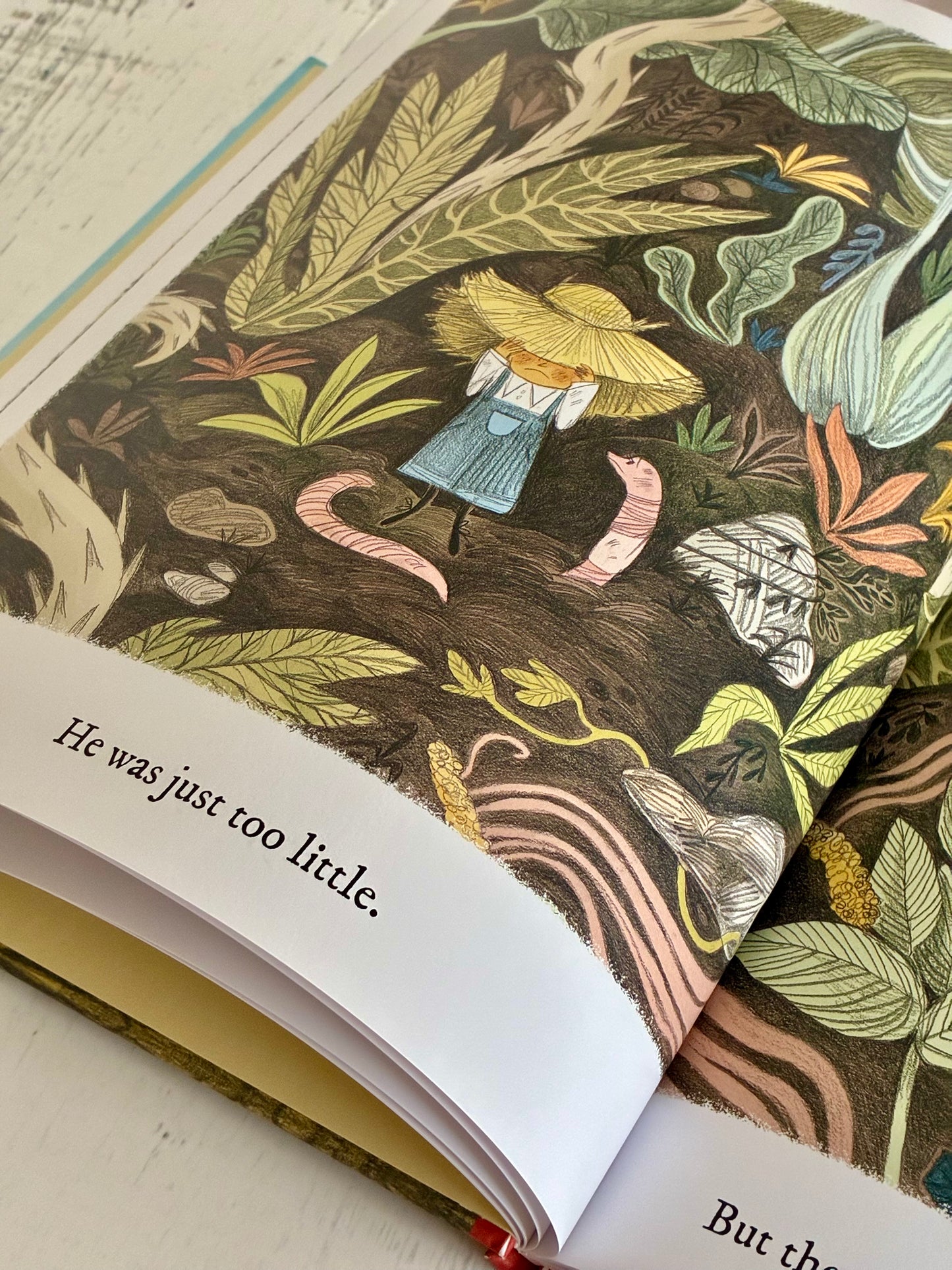The Little Gardener by Emily Hughes