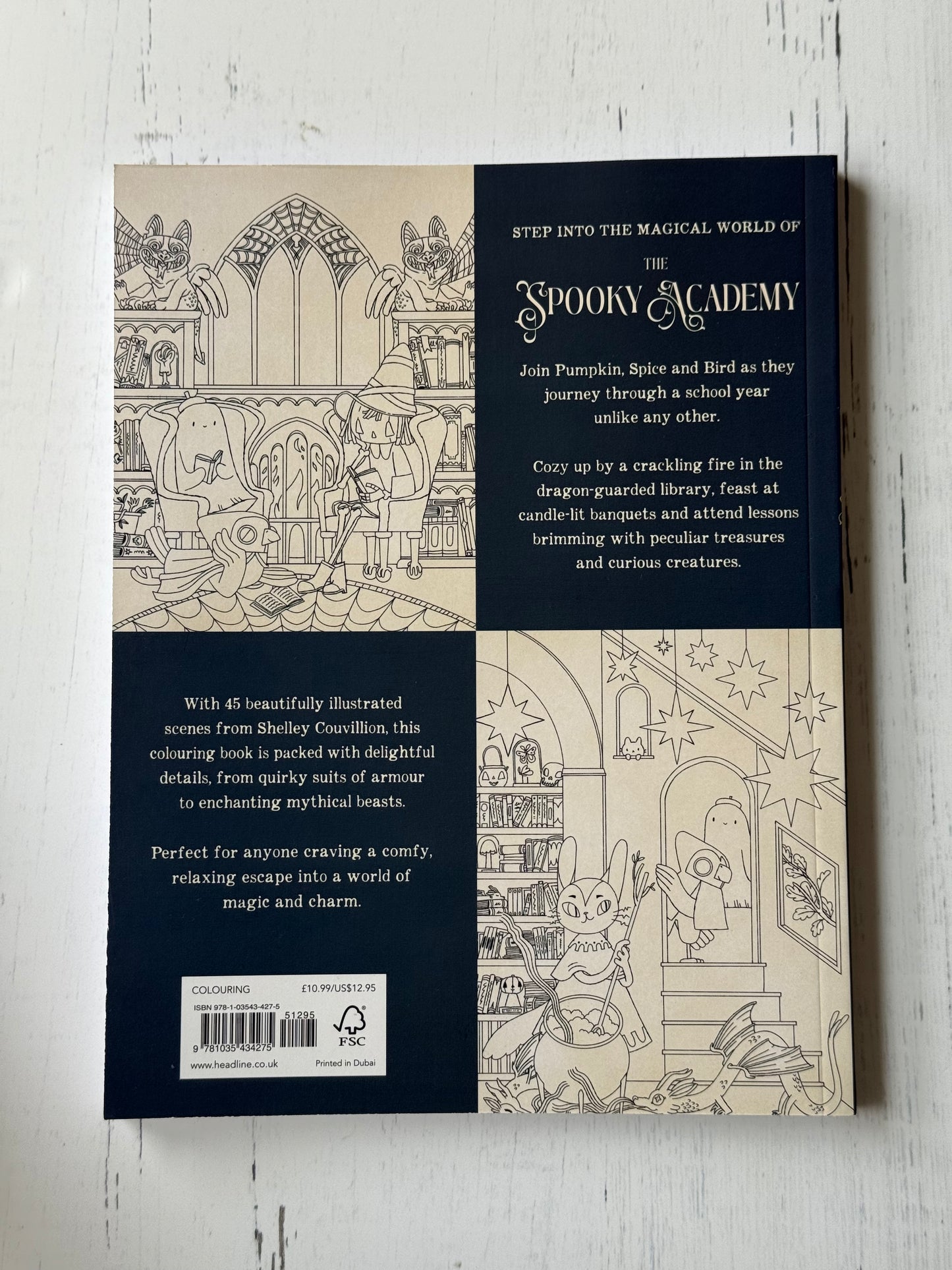 The Spooky Academy: A Cozy Colouring Adventure by Shelley Couvillion