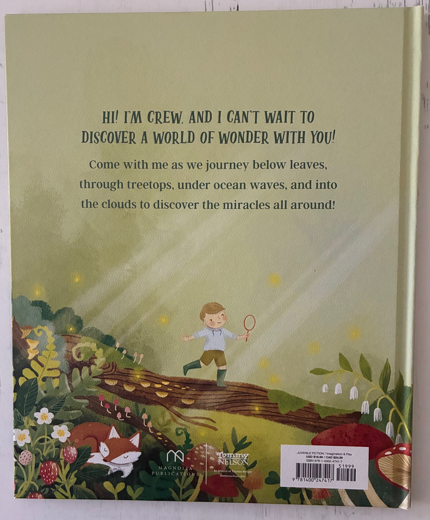 The World Needs The Wonder You See by Joanna Gaines