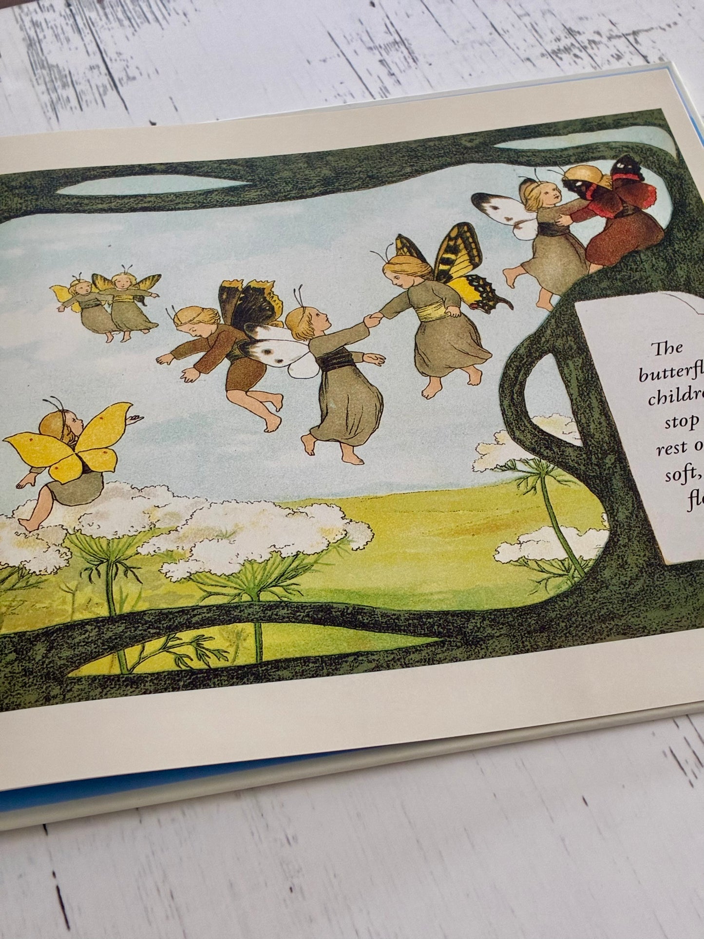 The Story of the Butterfly Children by Sibylle von Olfers