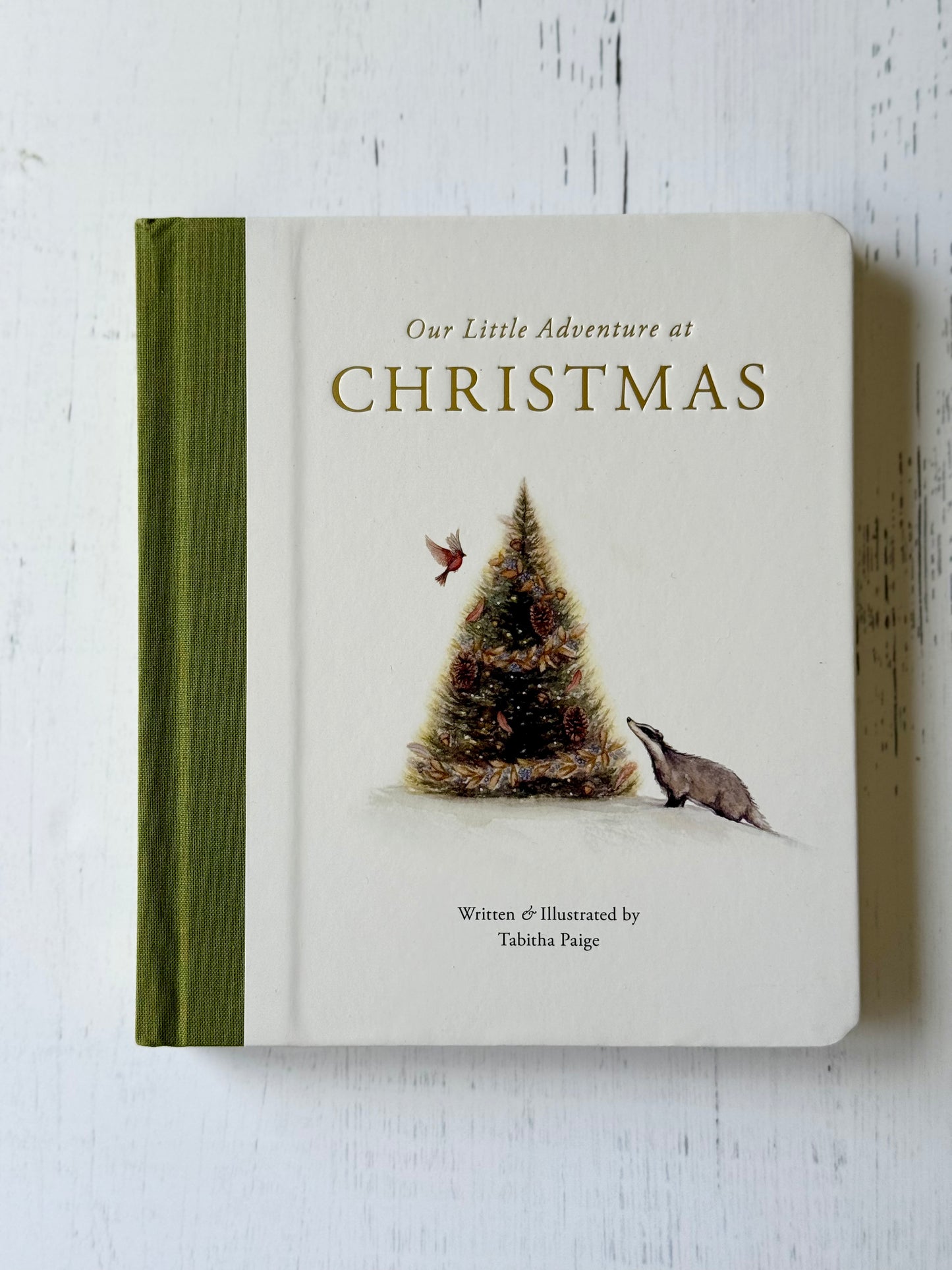 Our Little Adventure at Christmas: Featuring Foundational Language Concepts and Lessons on the Joy of Giving by Tabitha Paige