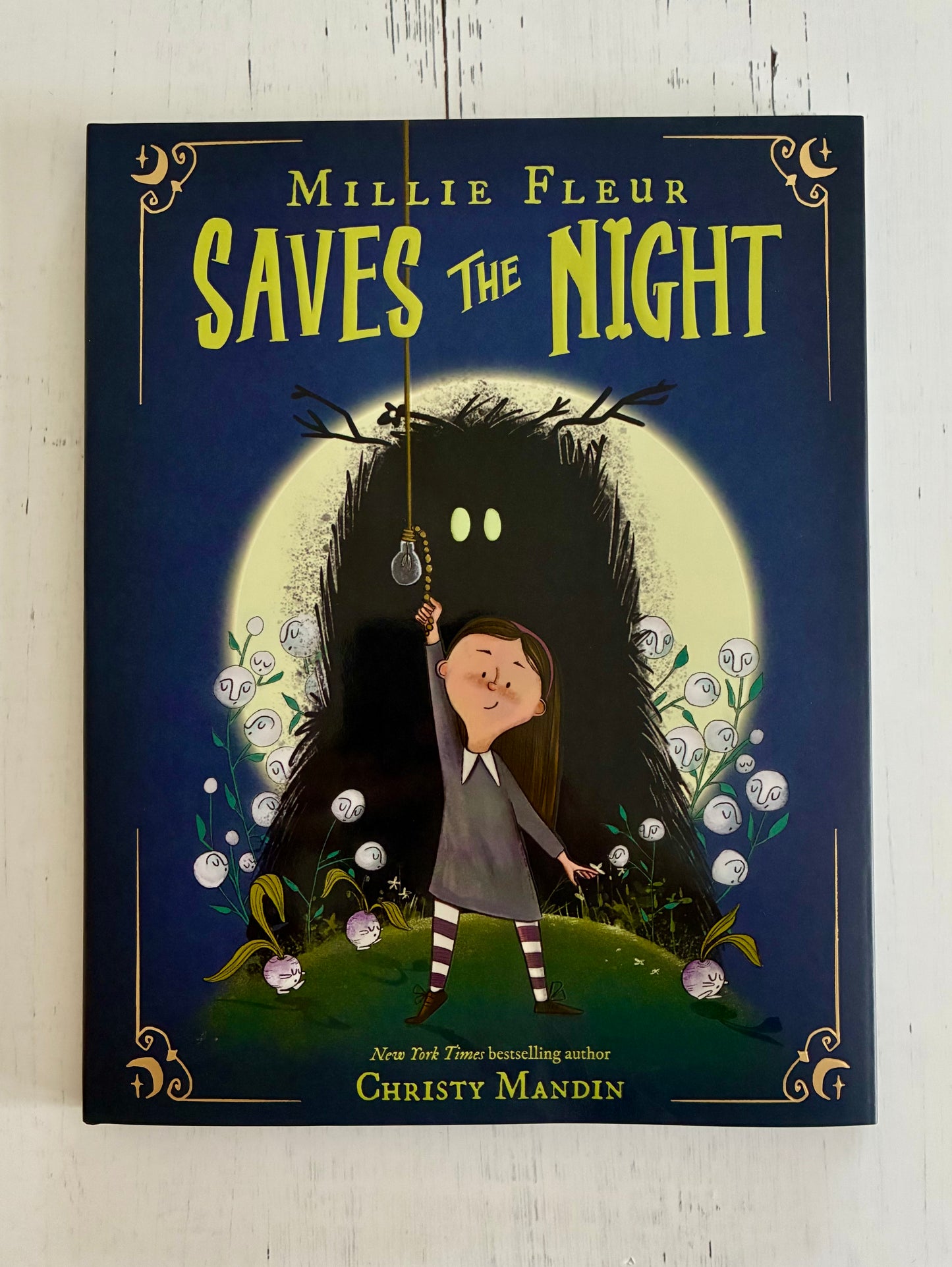 Millie Fleur Saves the Night by Christy Mandin