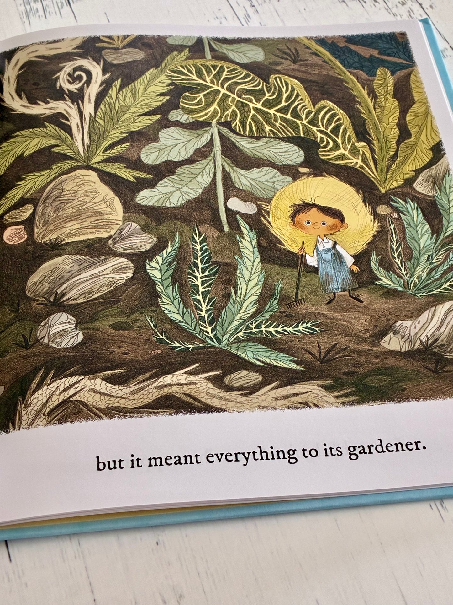 The Little Gardener by Emily Hughes