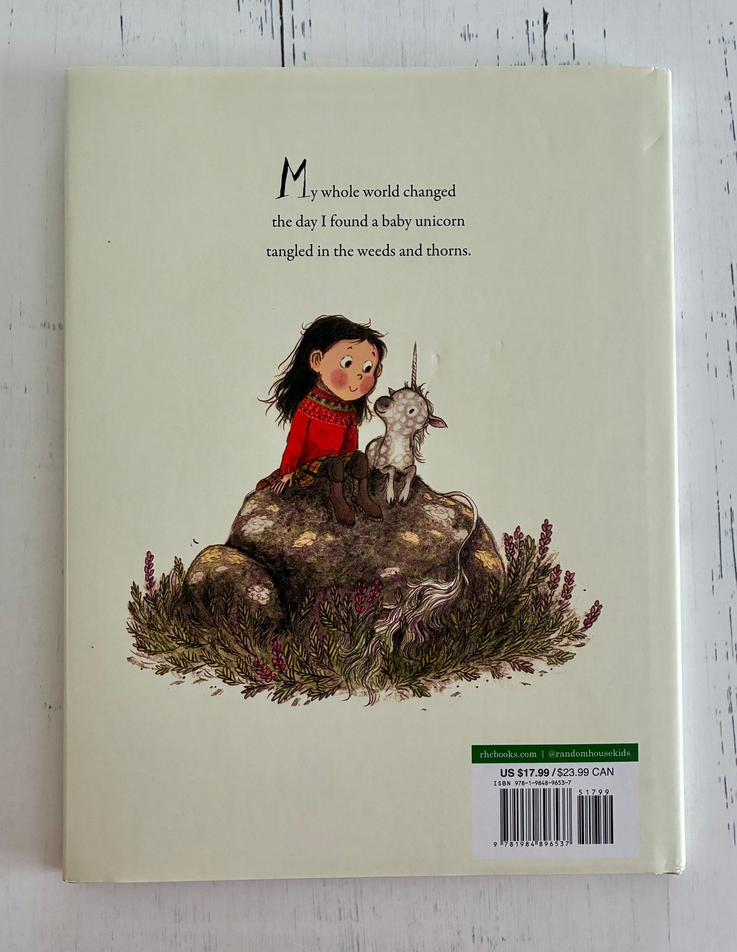 Margaret's Unicorn by Briony May Smith