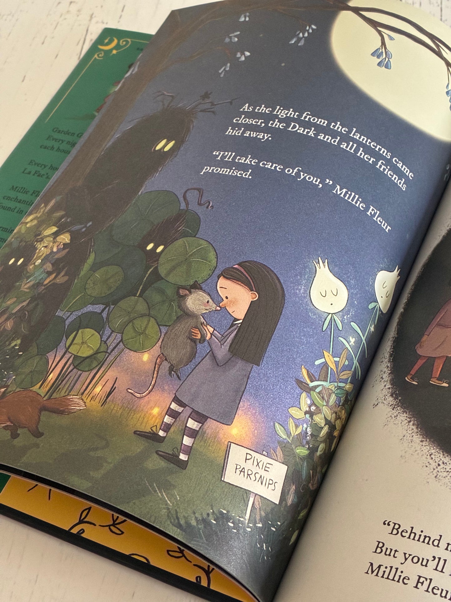 Millie Fleur Saves the Night by Christy Mandin