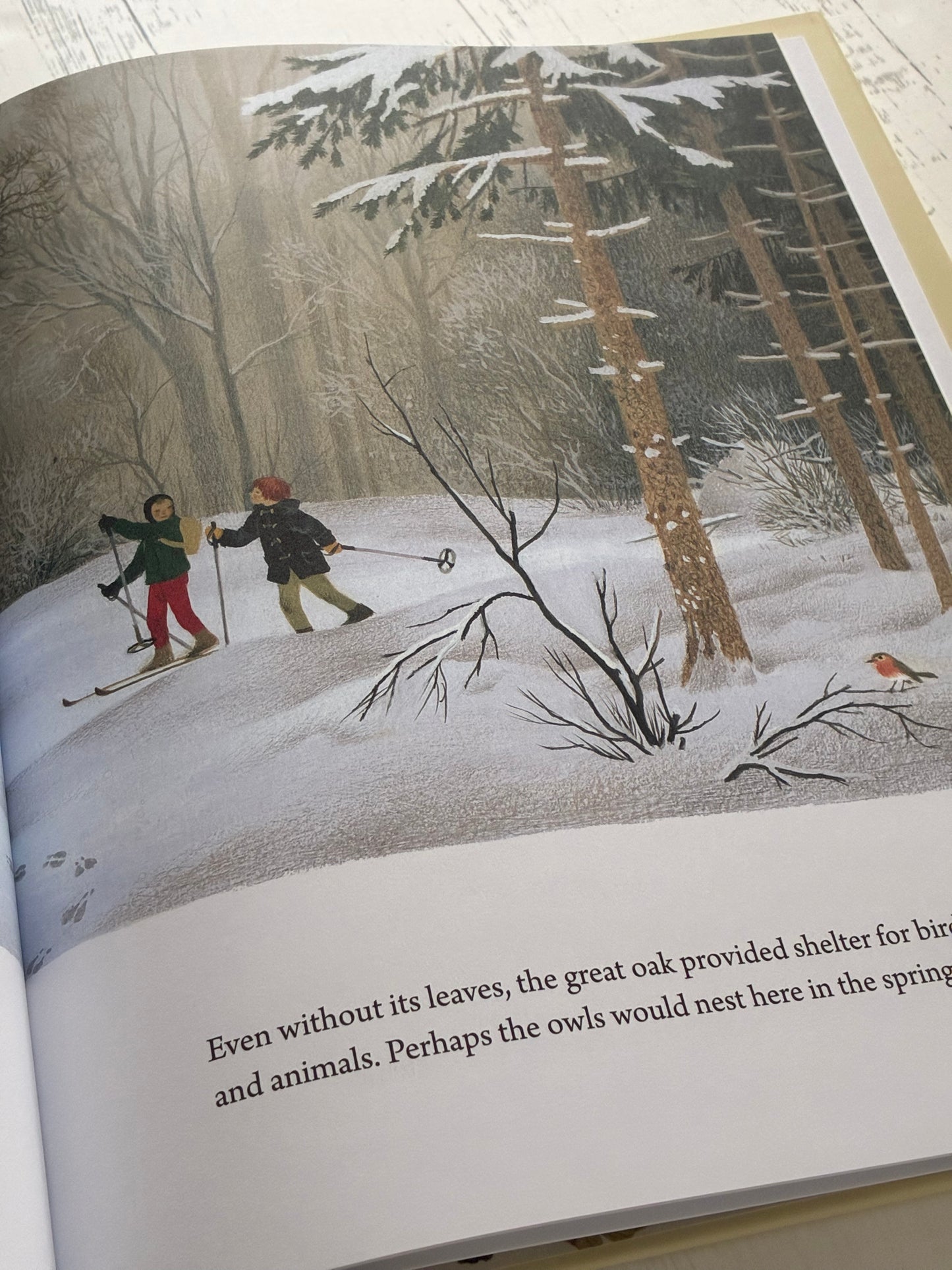 A Year Around the Great Oak by Gerda Muller